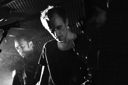 the wombats